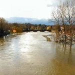 River in full flood