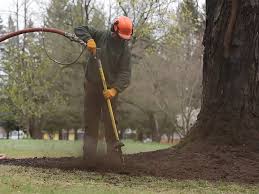 soil decompaction with the airspade